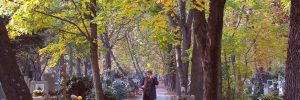 lady walking in fall leaves