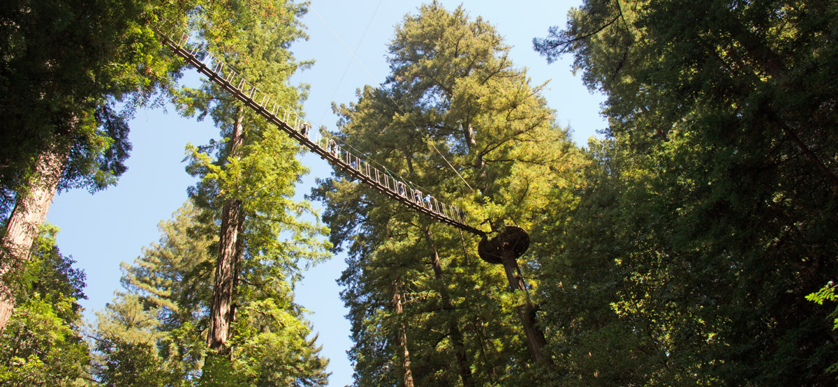 Unique Guests on the Redwood Canopy Tour Mount Hermon Christian