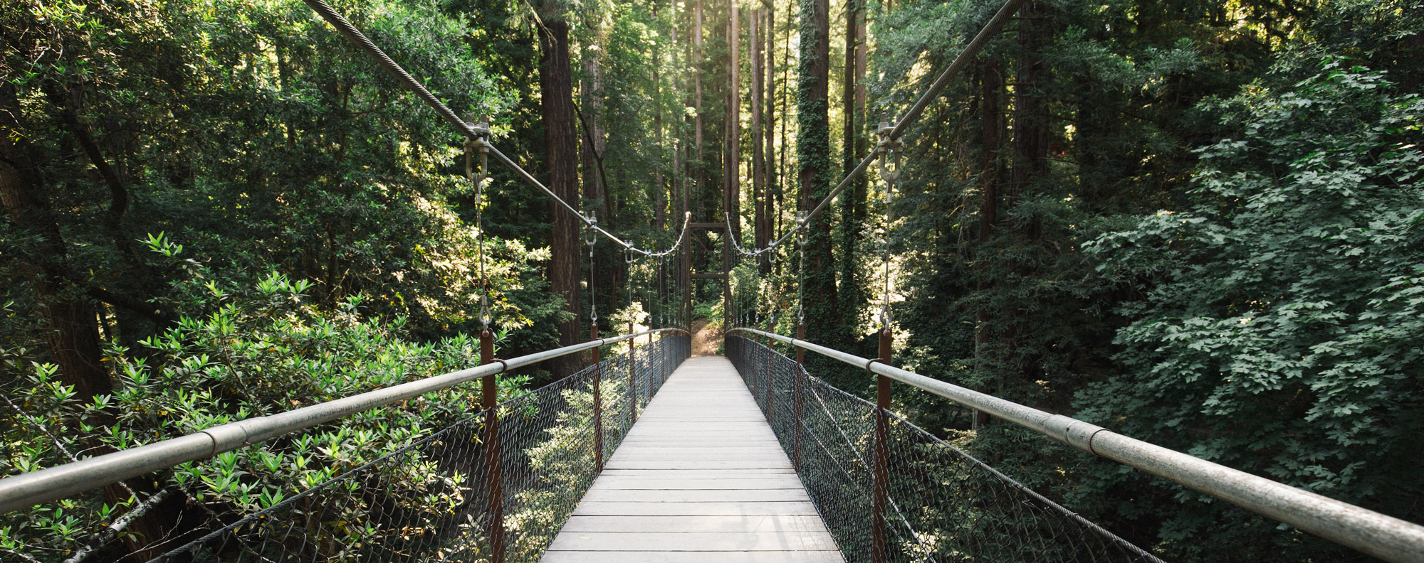 Mount Hermon Bridge