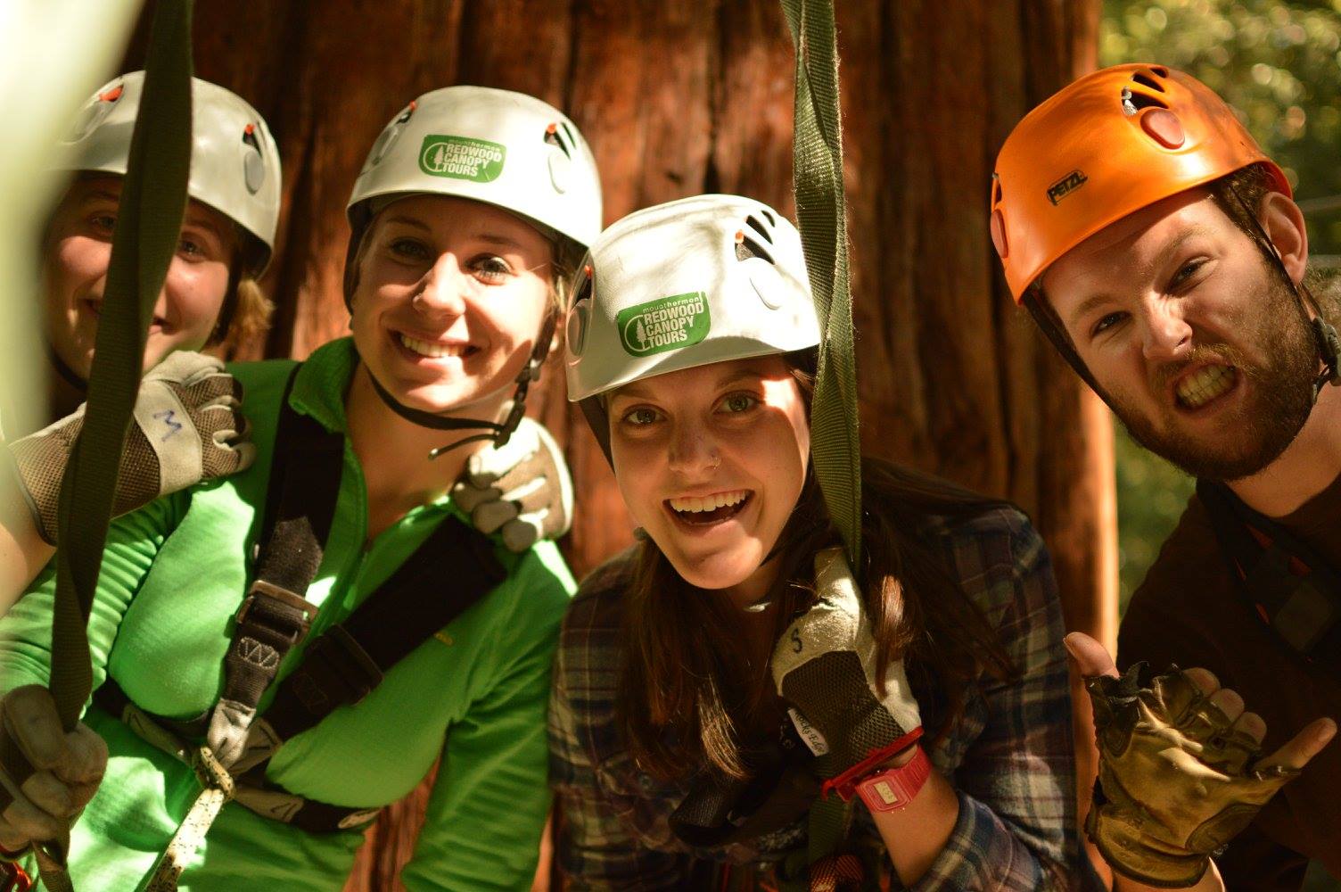 Christa Hansen photo