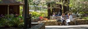 people visiting outside at mount hermon