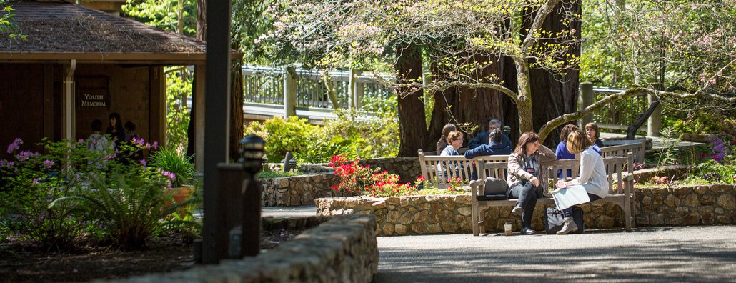 people visiting outside at mount hermon