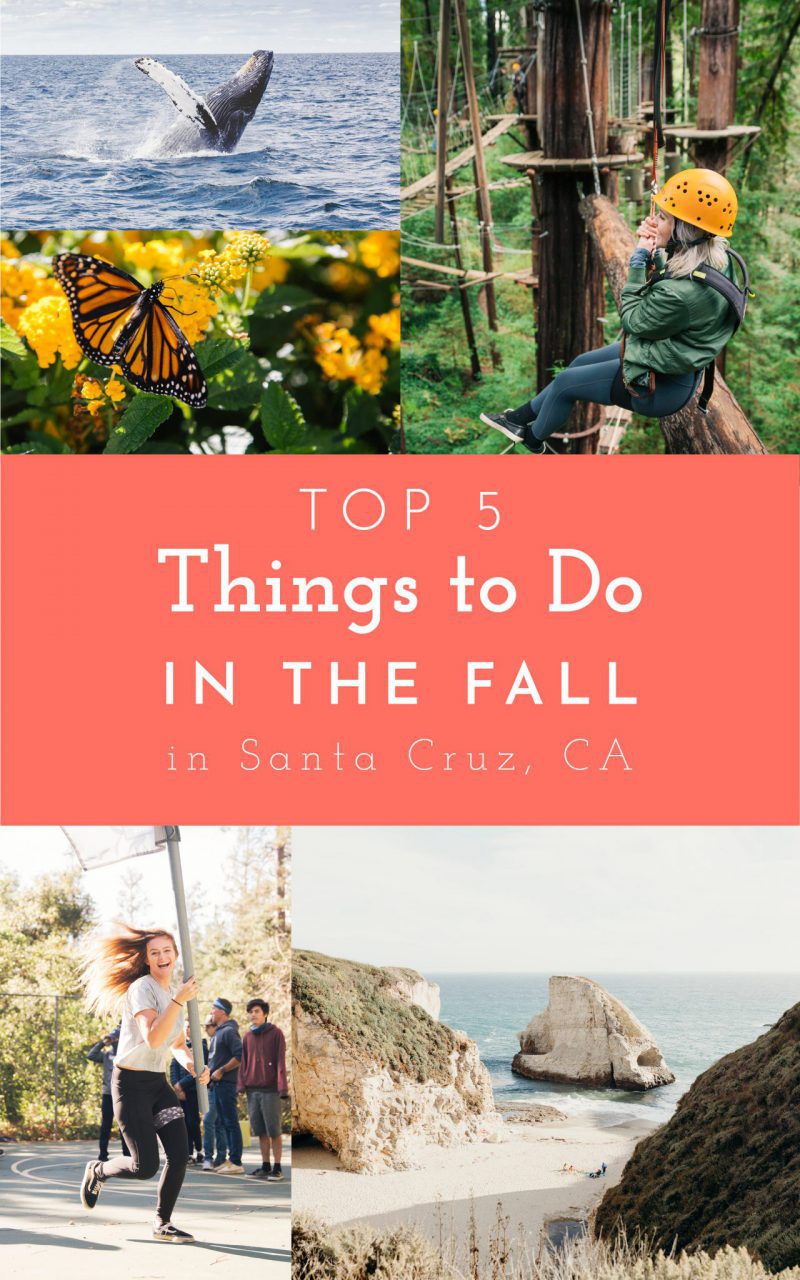 top-5-things-to-do-in-the-fall-in-the-santa-cruz