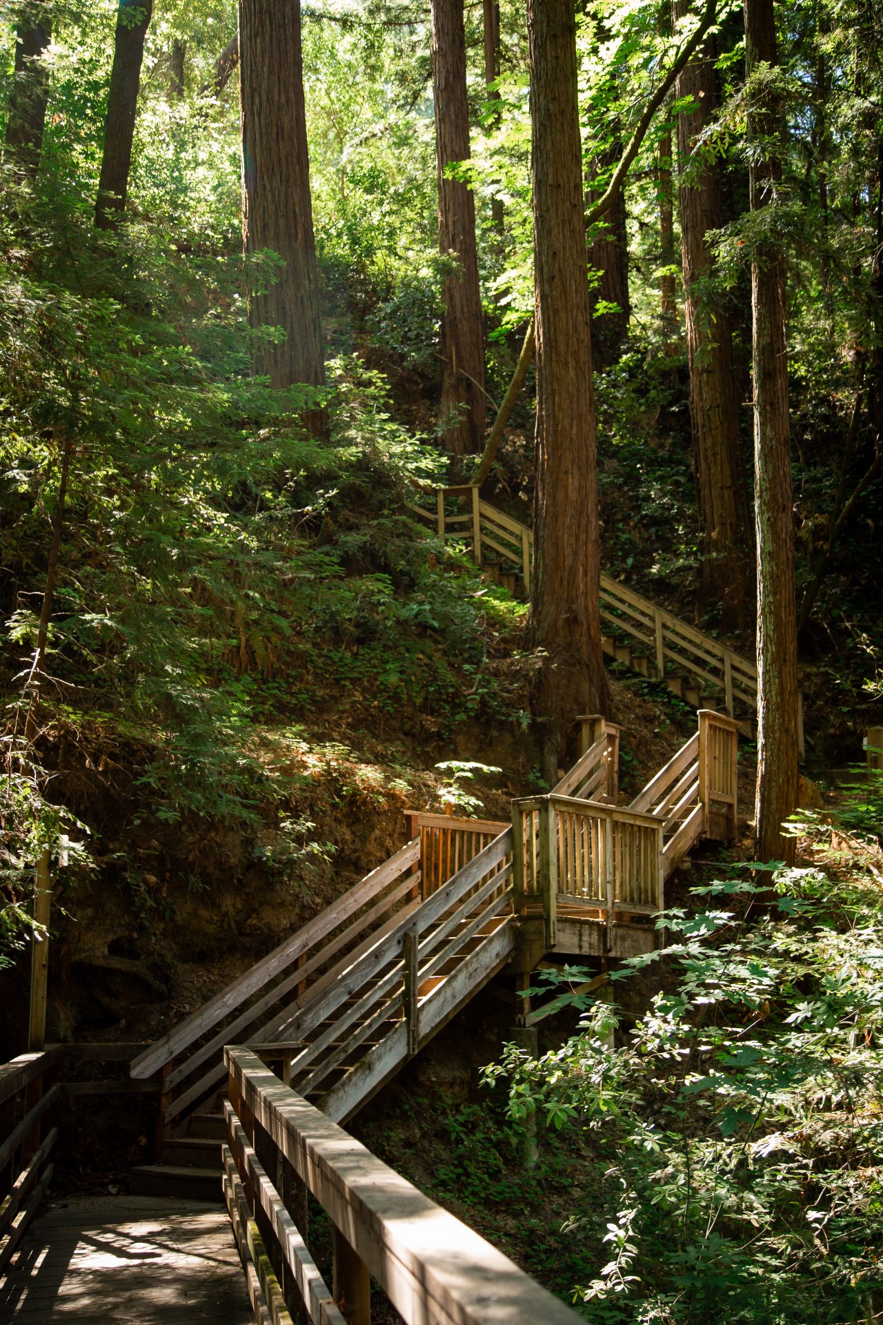 En Boca Cerrada, No Entran Moscas” - Mount Hermon Christian Camps and  Conference Center